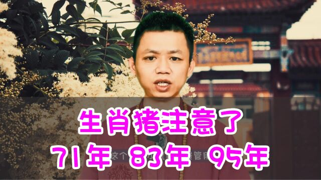 生肖属猪的人,7月要注意了