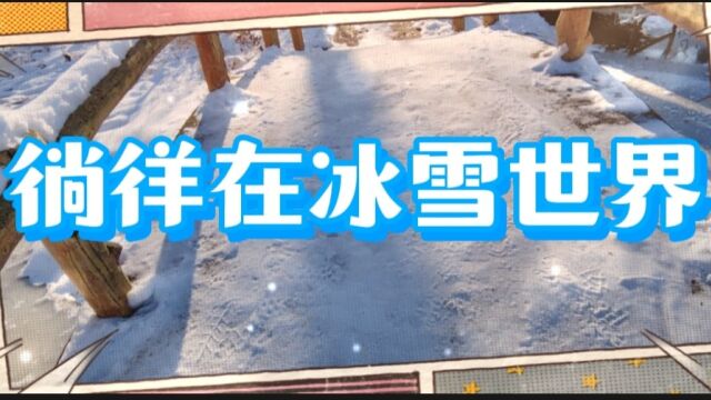 徜徉在冰雪世界