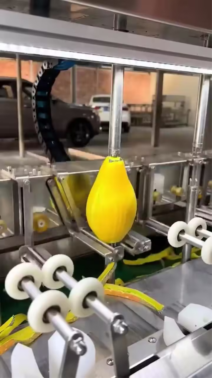 小南瓜自动削皮机适合工厂使用的机器设备