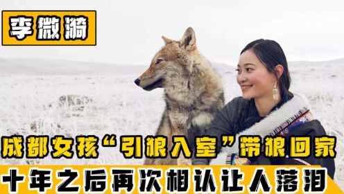 中国第一狼女李微漪：十年前把狼当儿子带回家，十年后再次相逢