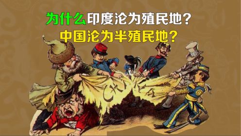 逯子说，为什么印度沦为殖民地，中国沦为半殖民地？