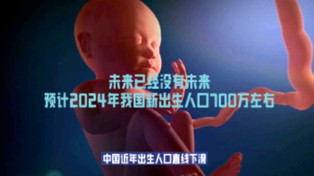 未来已经没有未来,预计2024年我国新出生人口700万左右