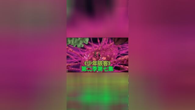 少年骇客第二季第七集,小班获得新外星英雄野魔藤,最后还是利用一瓶香港脚特效粉成功摧毁菌丝.