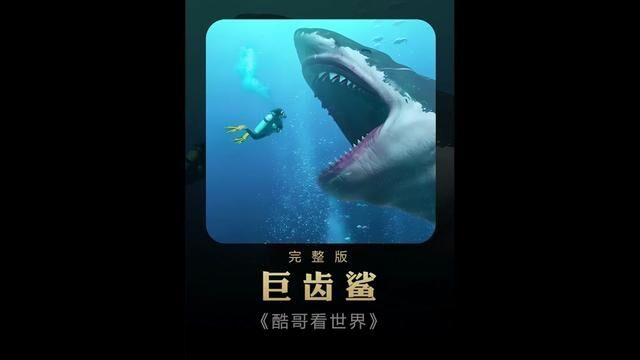 一口气看完巨齿鲨精彩内容,大家是否期待巨齿鲨2呢?#古生物 #巨齿鲨 #远古巨兽