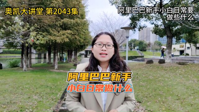 2043 阿里巴巴新手小白日常要做些什么