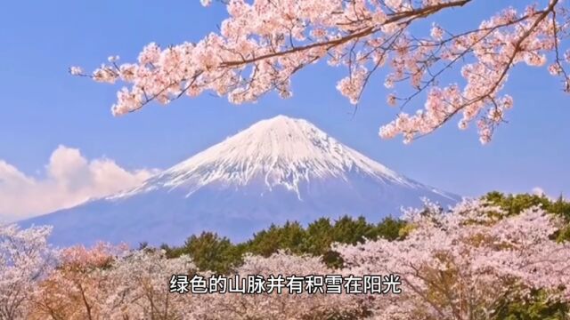 了解樱花国的文化