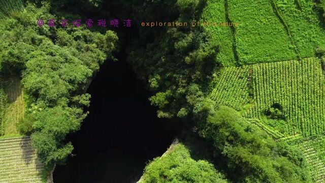 目前所知中国(嗯,也是世界的,本星球的)最新最年轻天坑——立春时节诞生在湖北恩施州利川市