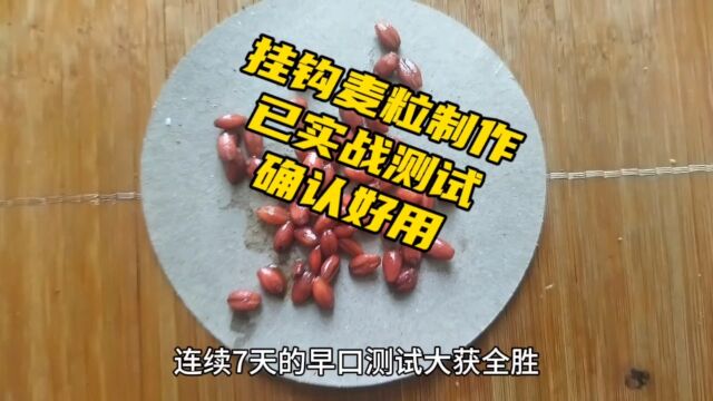 板鲫鲤鱼都爱吃的麦粒,做法有点不一样,多次实测,收获鲫鲤成群