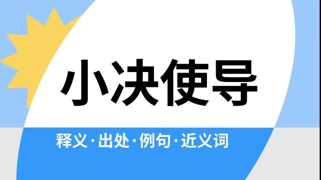 “小决使导”是什么意思?