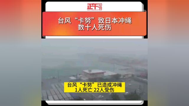 台风“卡努“致日本冲绳数十人死伤