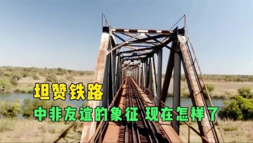 纪录片，见证中非友谊的坦赞铁路如今怎样，逐渐没落还是走向辉煌._高清1080P在线观看平台_腾讯视频