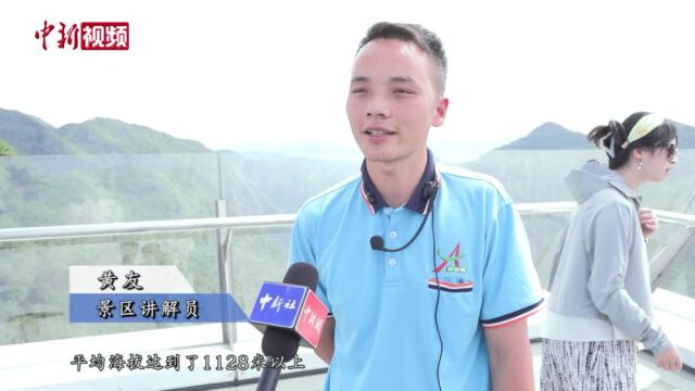 气候凉爽地貌独特 广西百色“清凉产业”引客避暑游