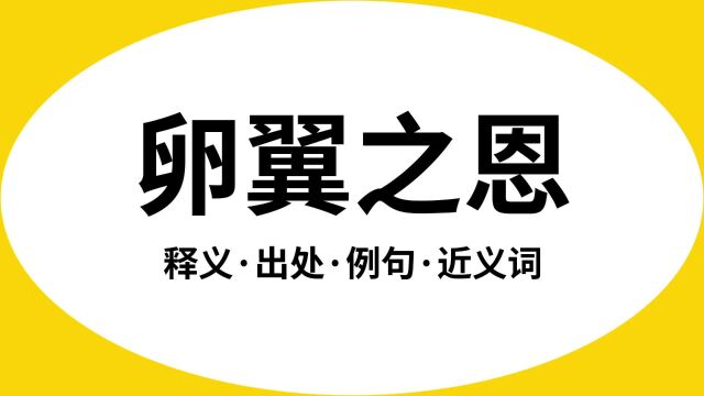 “卵翼之恩”是什么意思?