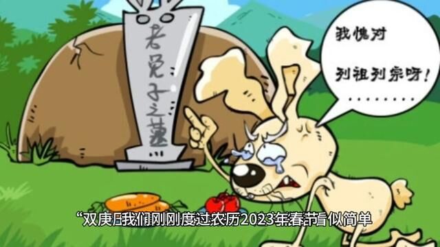 2023年不一般,“双庚压兔首,遍地起坟头”,啥意思?答案来了