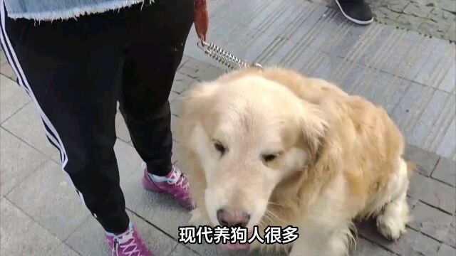 狗狗多大了要打狂犬疫苗?