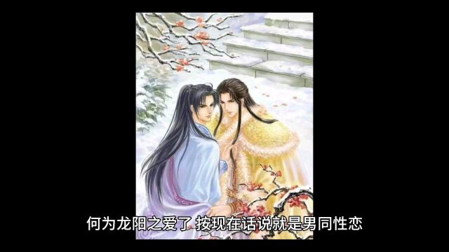 何为龙阳之爱,古代哪些君王有此癖好