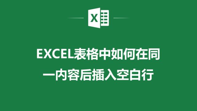 EXCEL表格中如何在同一内容后插入空白行,你知道么