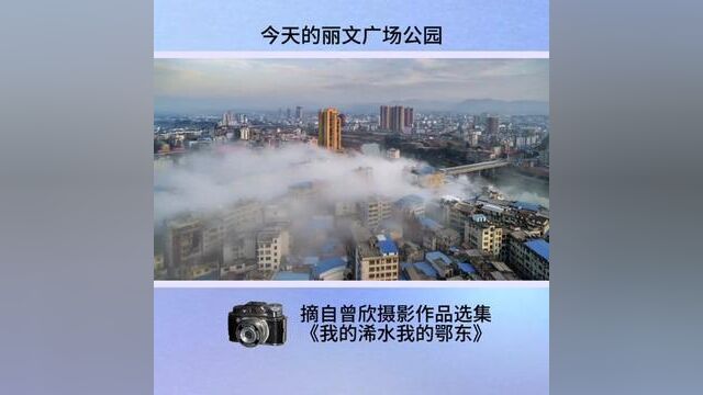 今天的丽文广场公园,昔日的浠水地标大厦#地标 #浠水