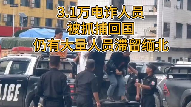 3.1万电诈人员被抓捕回国,仍有大量人员滞留在缅北