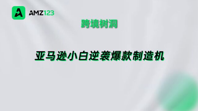 跨境树洞:亚马逊小白逆袭爆款制造机