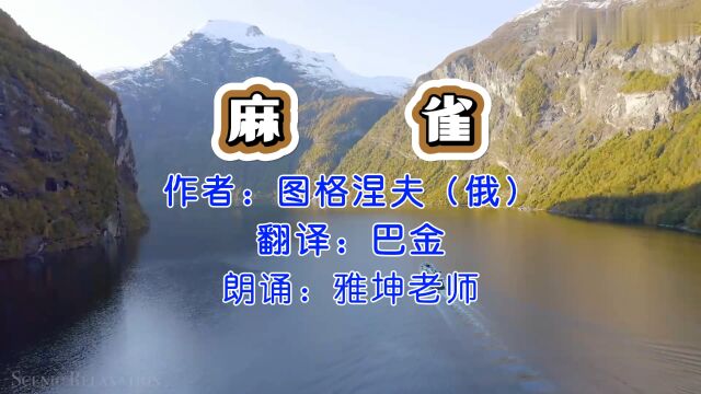 图格涅夫《麻雀》,雅坤老师朗诵