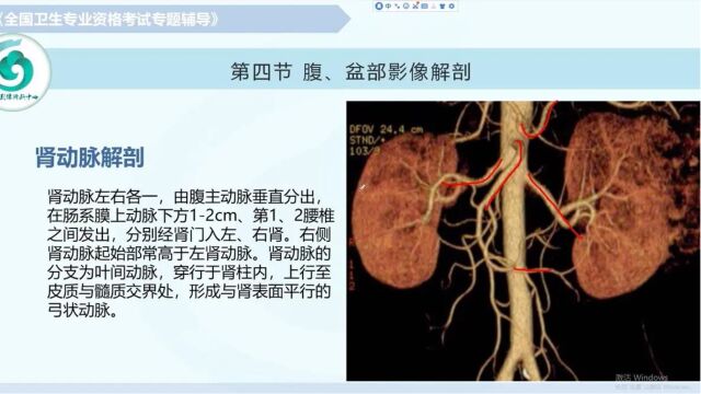 【放射医学(中级)】第七章影像解剖:腹盆部(下)2