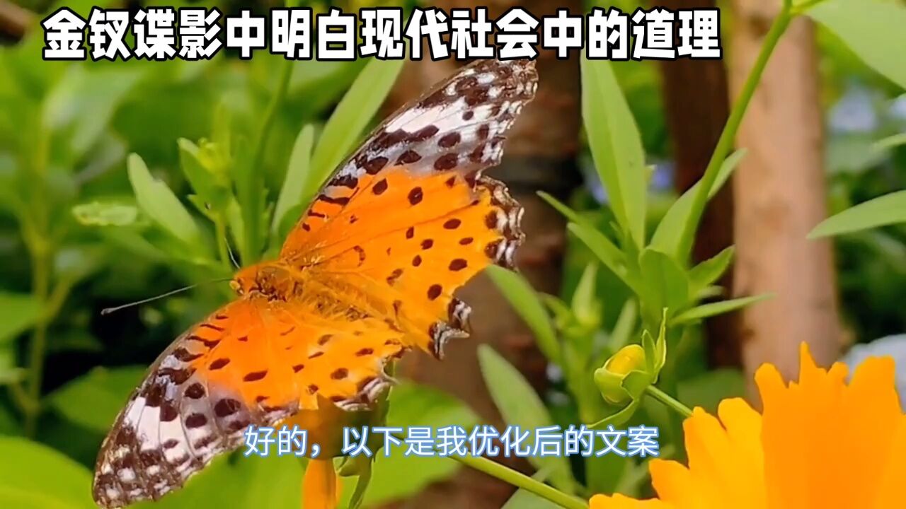 金钗谍影彩蝶图片