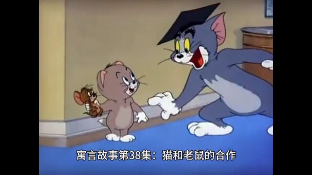 寓言故事第38集:猫和老鼠的合作