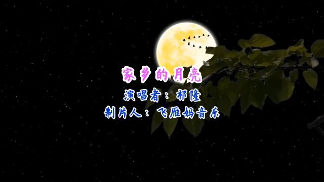 祁隆《家乡的月亮》儿时的月光洒在生我养我的地方看到窗前的妈妈