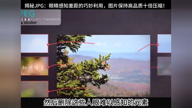 揭秘JPG压缩:眼睛感知差距的巧妙利用,图片保持高品质十倍压缩!知识博主每天跟我涨知识3d动画演示