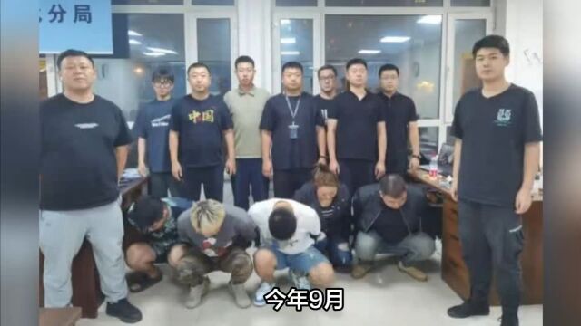 哈尔滨13名“宝妈”被刑拘