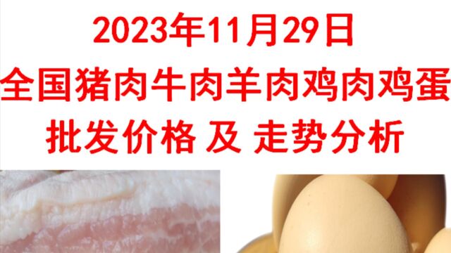 2023年11月29日全国猪肉牛肉羊肉鸡肉鸡蛋批发价格日报走势分析