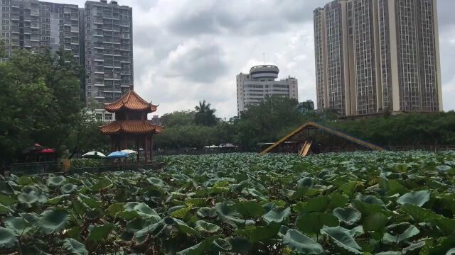 玉林人民公园,革命烈士纪念碑,去看看这些烈士永垂不朽