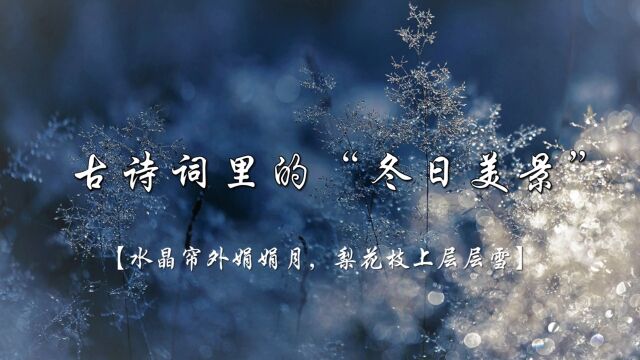 【水晶帘外娟娟月,梨花枝上层层雪】| 古诗词里的“冬日美景”,冰雪襟怀,琉璃世界~