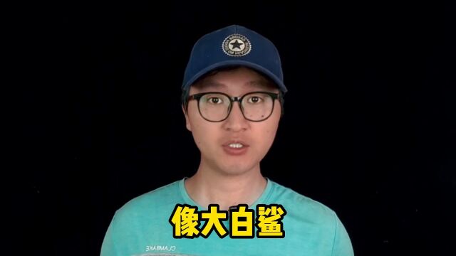 鲨鱼专题,鲨鱼真会吃人吗?鲨鱼存在几亿年了?鲨鱼和鲸有什么区别?