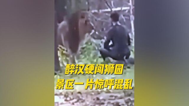 印度男人明明只喝了一杯酒,却拥有了单挑雄狮的能力……