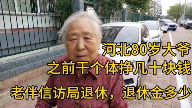 河北80岁大妈,之前干个体挣几十块钱,老伴信访局,退休金多少?