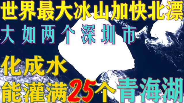 面积堪比两个深圳,世界最大冰山淡水量如25个青海湖,正加快北漂