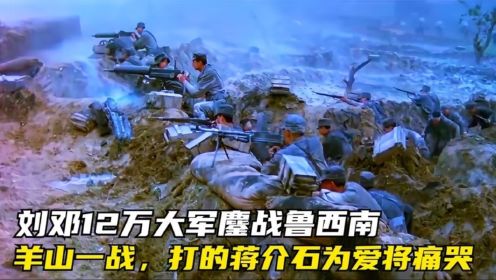 刘邓12万大军鏖战鲁西南，羊山一战，成为最难啃的“骨头”