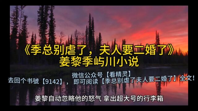 热文在线《季总别虐了,夫人要二婚了》姜黎季屿川小说