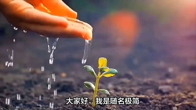 极简主义:消除内心消费欲望,让你一年储蓄好几万