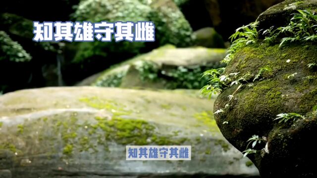 知其雄守其雌——知道阳在哪,但要守在阴的地方