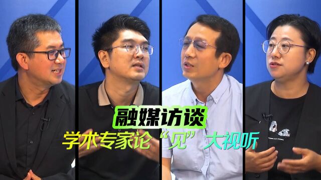 融媒访谈 学术专家论“见”大视听