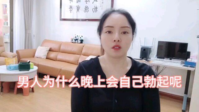 男人为什么晚上会自己勃起呢