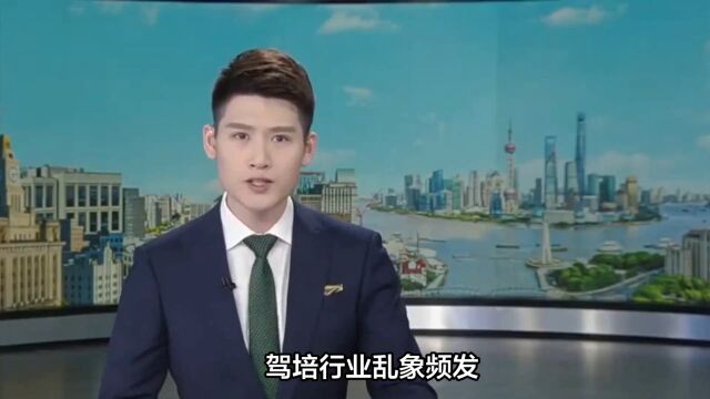 西安庆华驾校事件怎么样了?杨建允指出了驾校驾培行业的哪些问题?