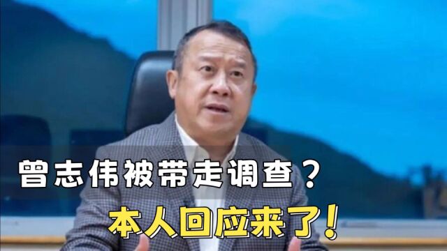 曾志伟被带走调查?本人回应来了:没有任何违法行为