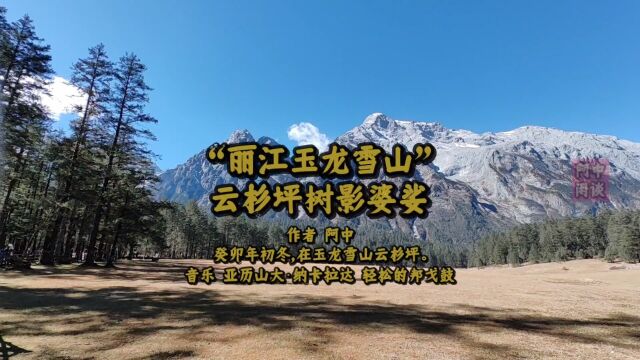 “丽江玉龙雪山”云杉坪树影婆娑