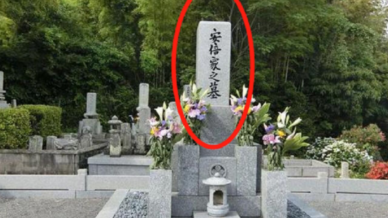 安倍是个日本人,为何遇刺后,墓碑用中国汉字来雕刻呢?_高清1080P在线观看平台_腾讯视频