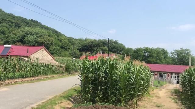 说说辽宁大连庄河荷花山镇地名的来历,你的老家是荷花山的吗 #新农村 #振兴乡村 #绿水青山我的家