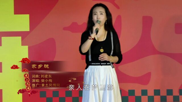 一首勾起思乡之情的歌《家乡魂》演唱:樊小梅